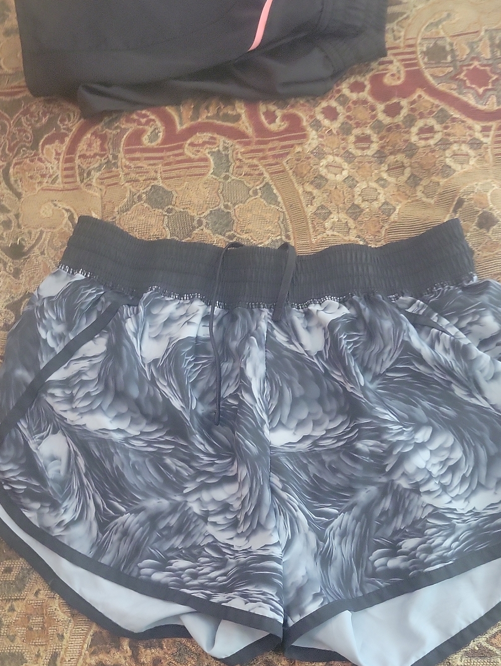Champion Shorts